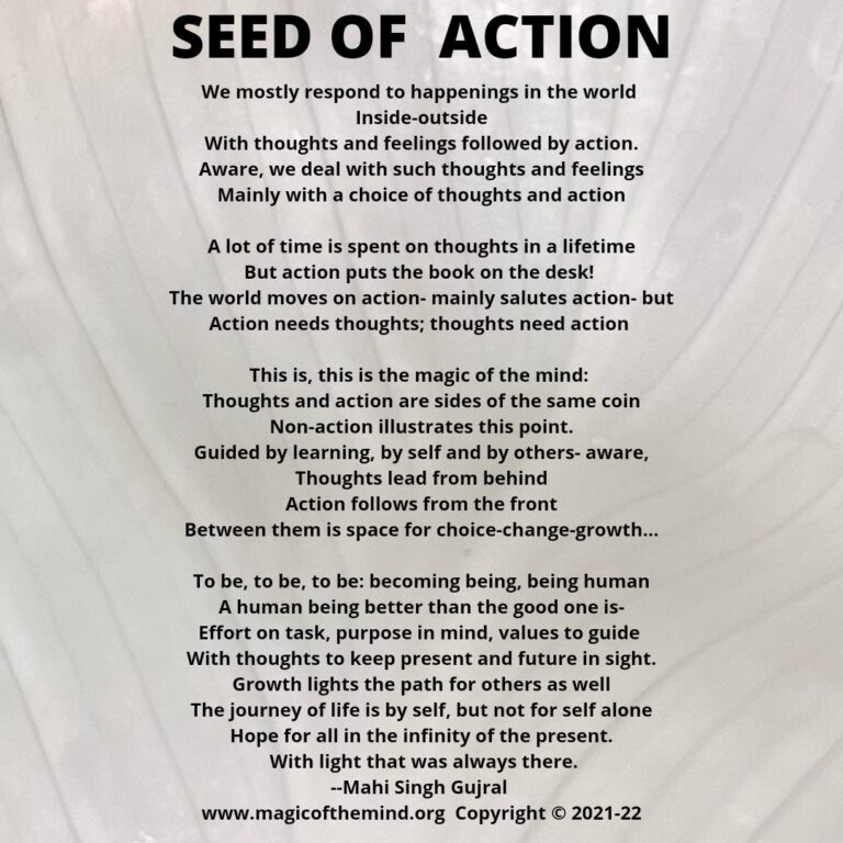 Seed Of Action